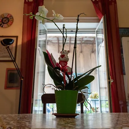 Nuovo Cortile Palermo Bed&Breakfast-2